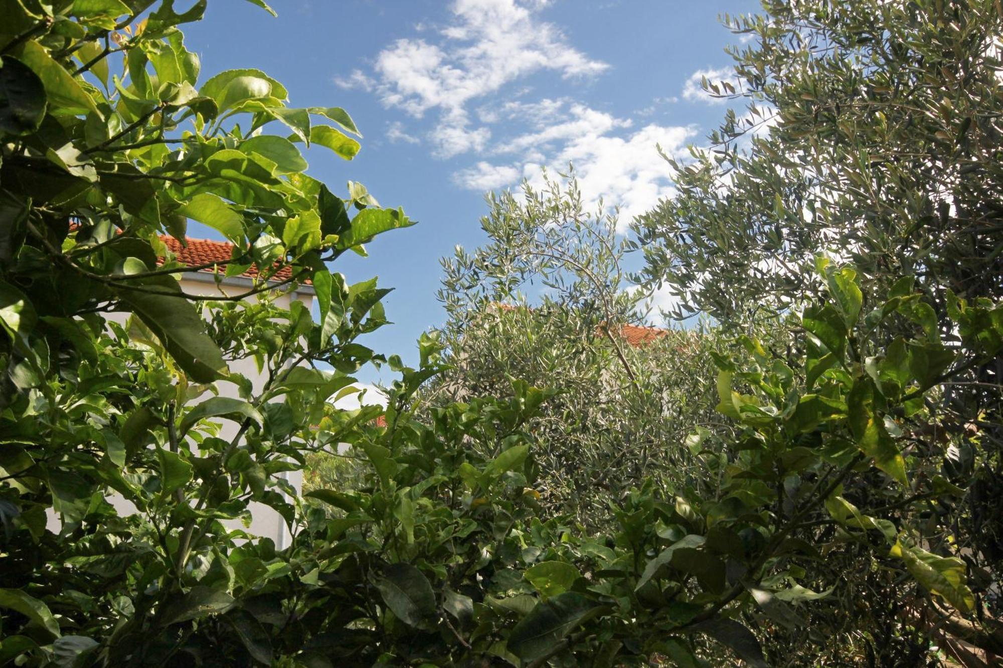 Holiday House With A Parking Space Orebic, Peljesac - 9482 Luaran gambar
